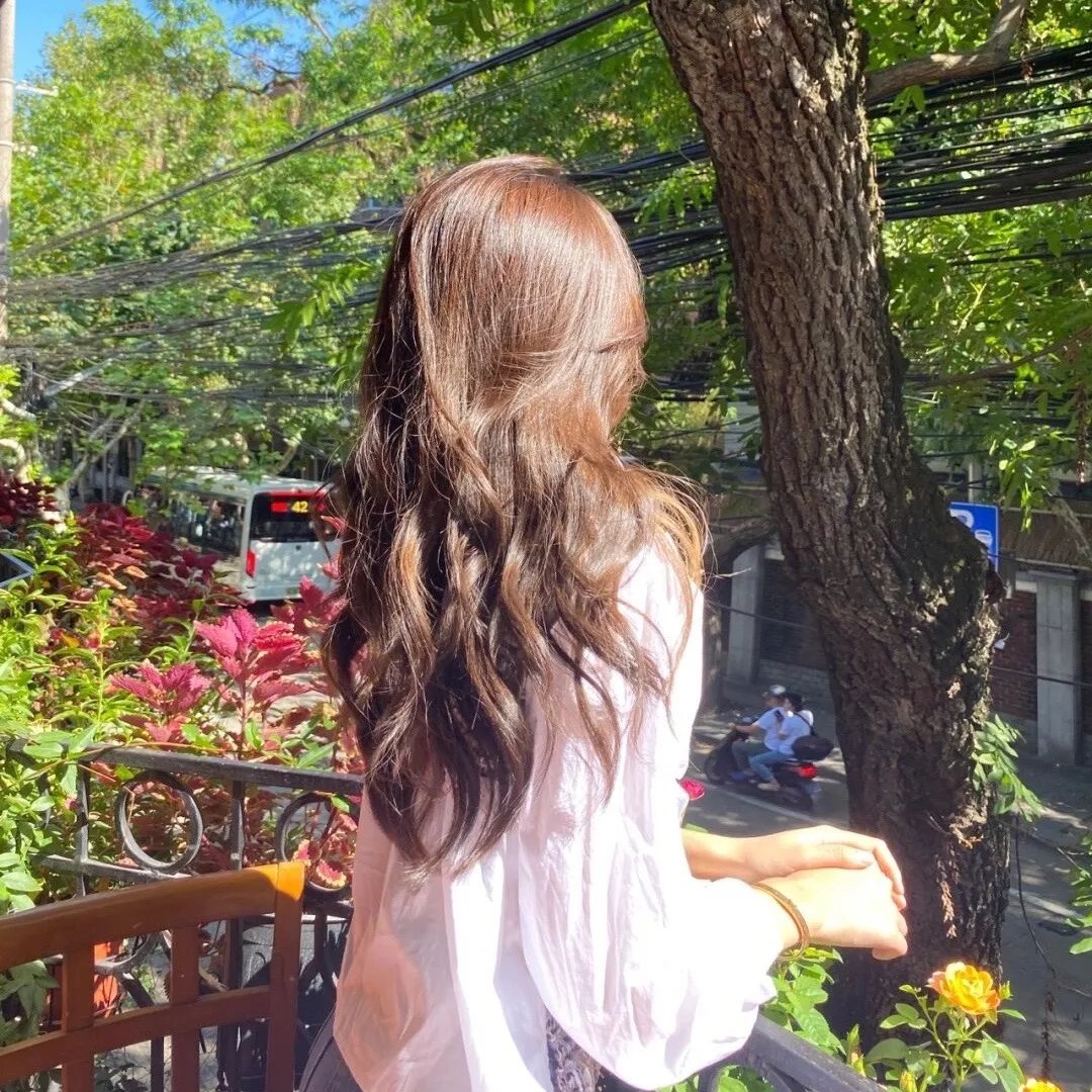 蜻蜓
